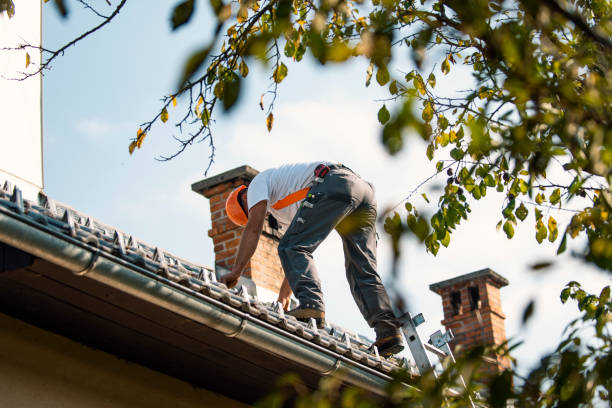 Hot Roofs in Newport, MN